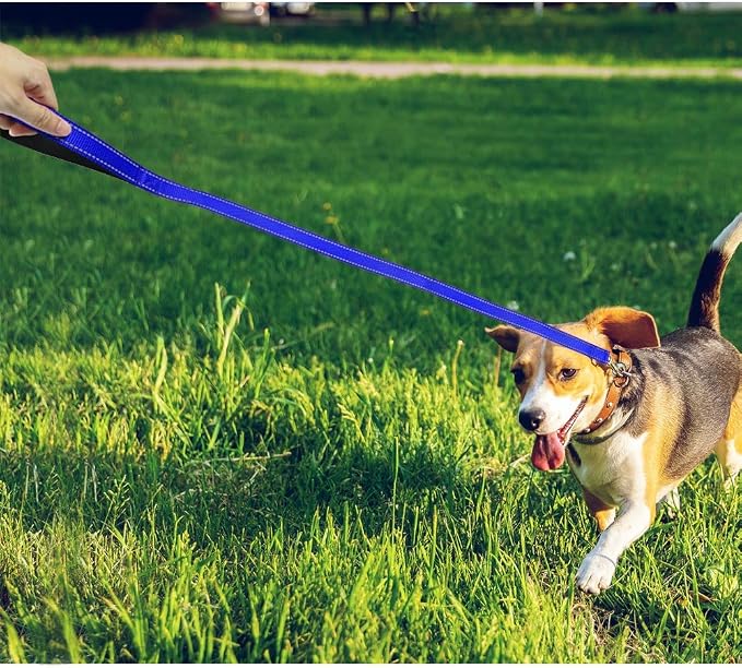 FunTags 4FT Royal Blue Reflective Dog Leash for Medium & Small Dogs Training, Soft Padded Handle Comfortable Grip, Heavy Duty Nylon, Reflective for Night Walking, 3/4in Wide