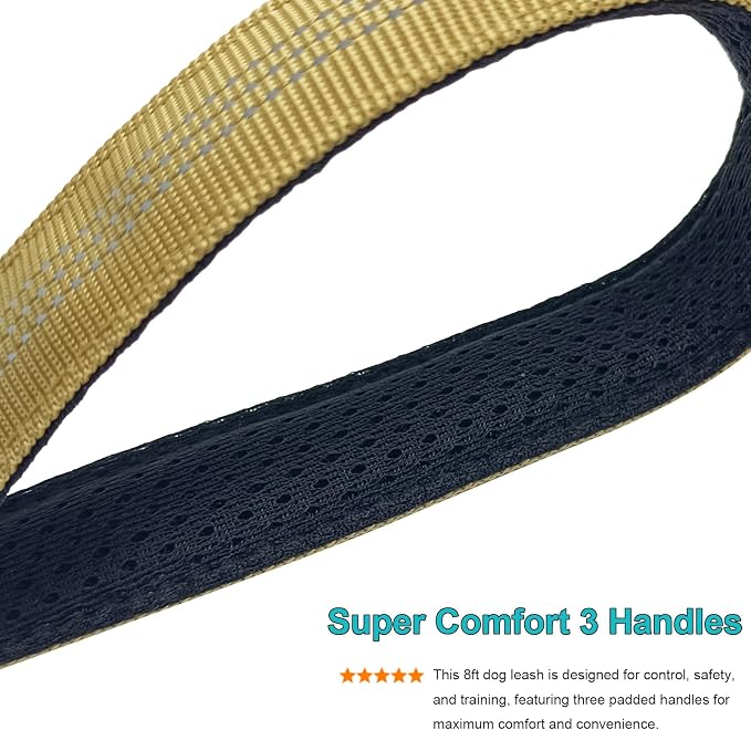 BTINESFUL 8ft Dog Leash with 3 Handles, Reflective Shork Absorbing Bungee Dog Leash, Safety Training Controlling for Large Medium Dogs (Brown, 1 in x 8 ft)