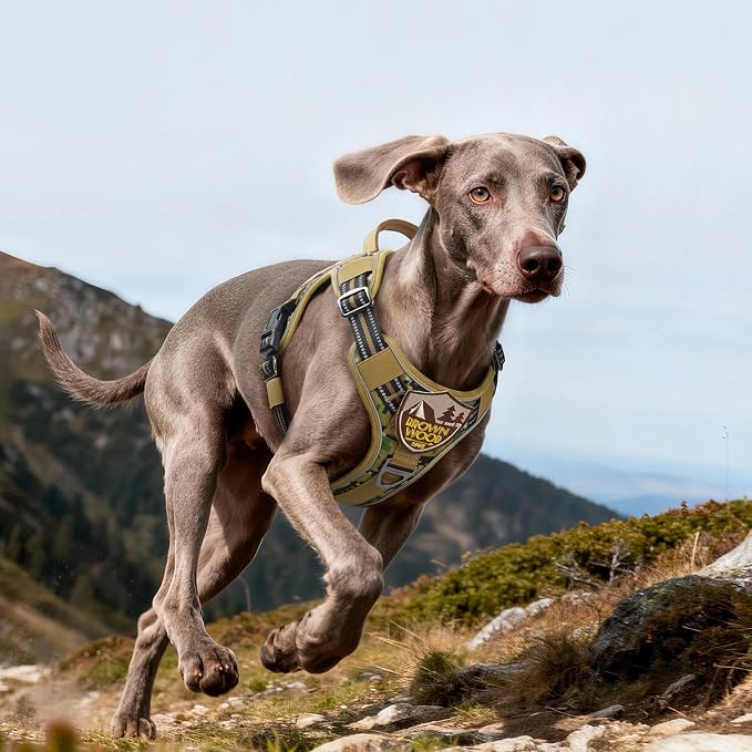 rabbitgoo Tactical Dog Harness for Large Dogs No Pull Adjustable Military Vest with Handle MOLLE Reflective Heavy Duty Dog Vest for Walking Training Hunting Outdoor Medium Size Dog Brown Camo L