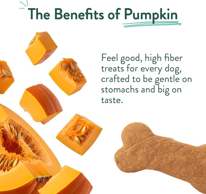 Portland Pet Food Company Pumpkin Dog Treats Healthy Biscuits for Small Medium & Large Dogs - Grain-Free, Human-Grade, All Natural Cookies, Snacks & Puppy Training Treats - Made in The USA - 5 oz