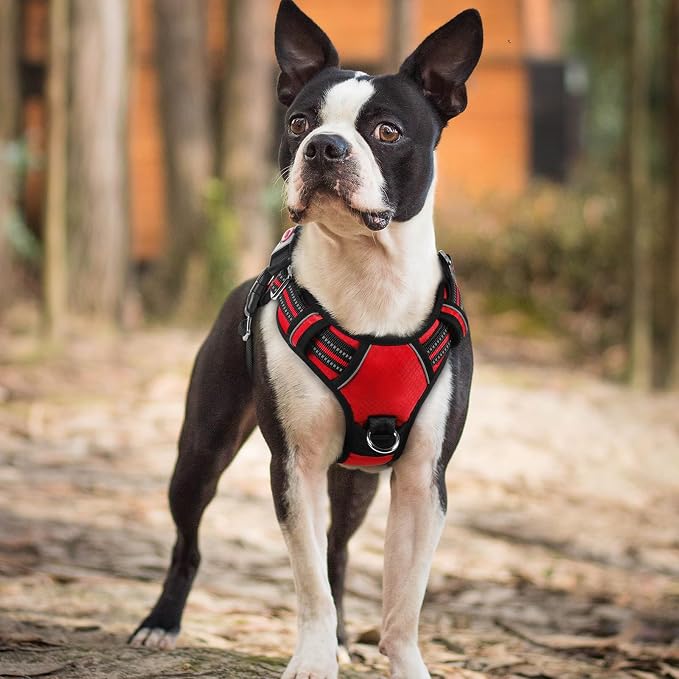 rabbitgoo Dog Harness Small Sized, 3 Buckles Easy On & Off No Pull Pet Vest, Soft Padded Walking Pet Harness with Control Handle, Adjustable and Reflective, Red, S