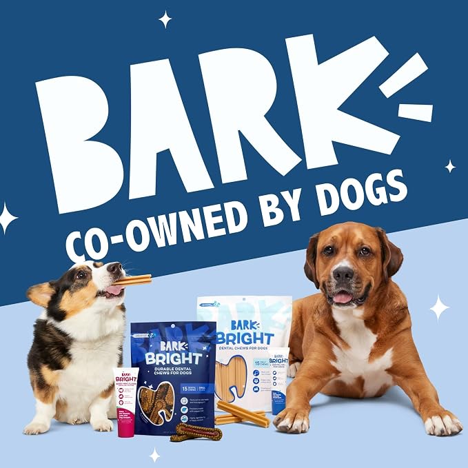 Barkbox Bright Durable Dog Dental Chew Sticks - 15 Dental Chews for Dogs - for Large Breeds (50+ lbs)