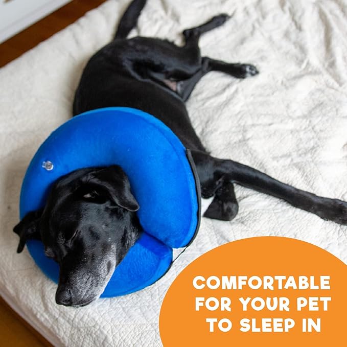 BENCMATE Inflatable Dog Cone Collar Alternative, Soft Dog Cone for Small Medium Large Dogs and Cats, Neck Recovery ECollar Donut Collar After Surgery (Large, Blue Donut)