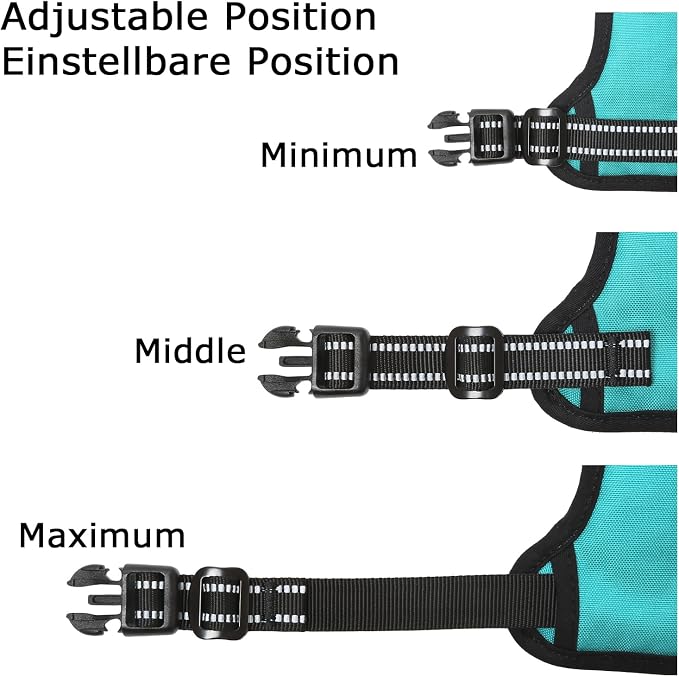 HEELE Dog Harness Dog Harness Small Dog No Pull Harness wiht Soft Handle Reflective Harness Adjustable, Turquoise, XS