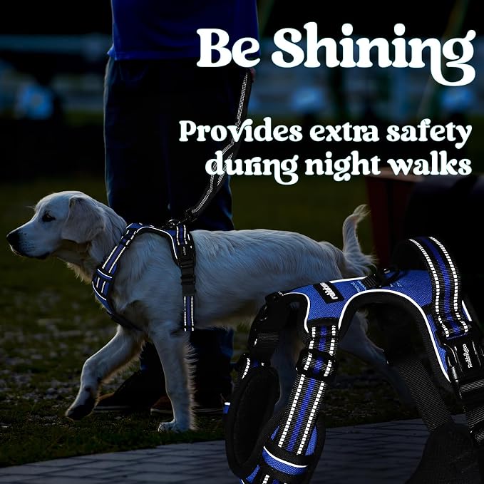 rabbitgoo Dog Harness for Large, No Pull Easy On & Off with 3 Buckles Pet Harness, Adjustable Soft Walking Vest with 2 Clips and Handle, Reflective for Large Dogs, Blue, L