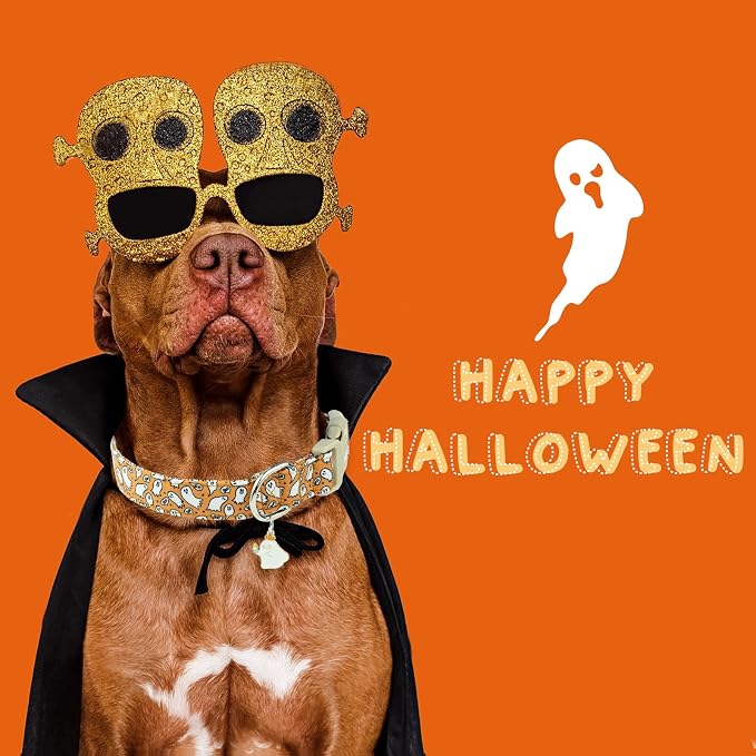Faygarsle Halloween Ghost Pattern Dog Collar with Charm, Orange and White,for Small Medium Large Dogs XS