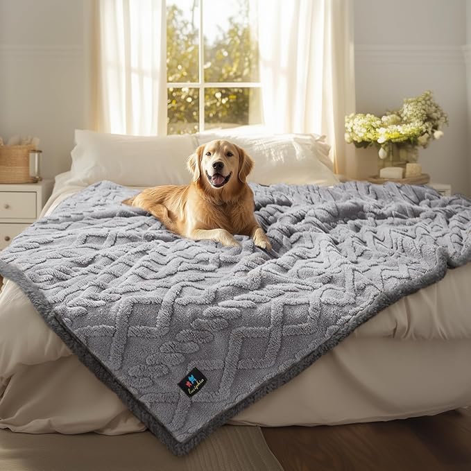 Luciphia Waterproof Pet Blanket, Liquid Pee Proof Dog Blanket for Sofa Bed Couch, Reversible Sherpa Fleece Furniture Protector Cover for Small Medium Large Dogs Cats, Light Grey Queen Size(90" x 82")