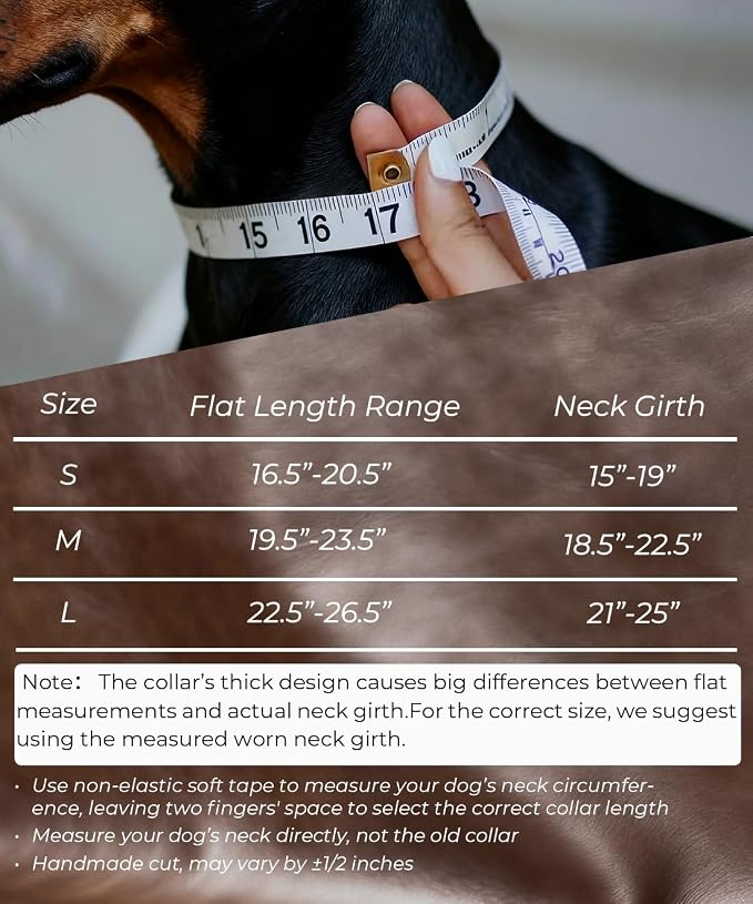 Genuine Leather Dog Collar for Large Dogs,2 in Wide Heavy Duty,BN-GD-L | Handmade,Stainless Steel Pin Buckle,Soft Padded,Alloy Studded,Luxury Eye-catching Design,Medium Large Giant Breeds,21-25 in