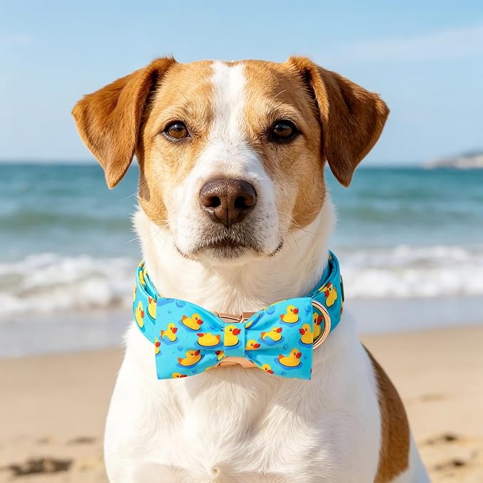 Elegant little tail Boy Dog Collar, Duck Pet Collars with Bow for Medium Dogs, Sturdy Metal Buckle Soft Cotton Bowtie Fabric Summer Adjusatble Dog Collar for Medium Large Dogs