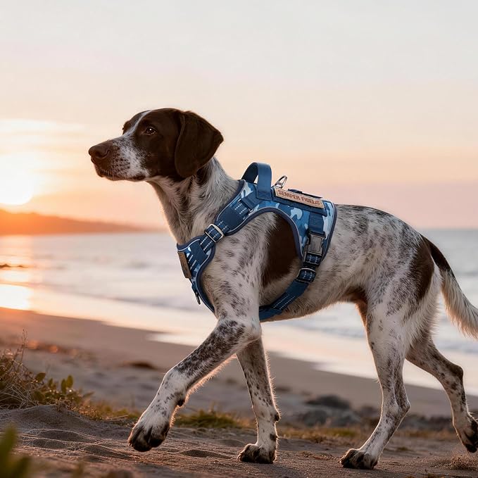 rabbitgoo Dog Harness Medium Sized No Pull, Tactical Service Pet Vest with Molle and Control Handle, Adjustable and Reflective Military Harness for Easy Walking and Training, Blue Camo, M