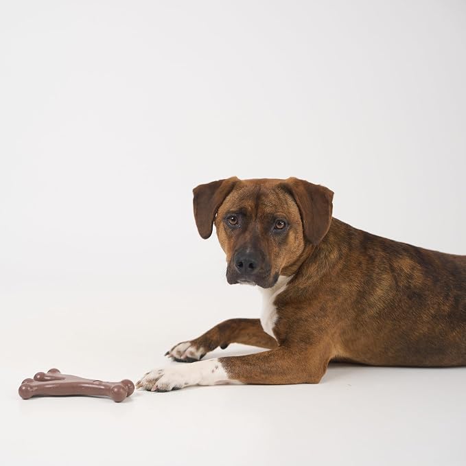 SPOT Bam-Bones Wishbone Dog Chew Toy, Bamboo Fiber Blend, Non-Splintering Durable Chew for Light to Moderate Chewers, Adult Dogs & Teething Puppies 25–50 lbs, Bacon Flavor, 7 in