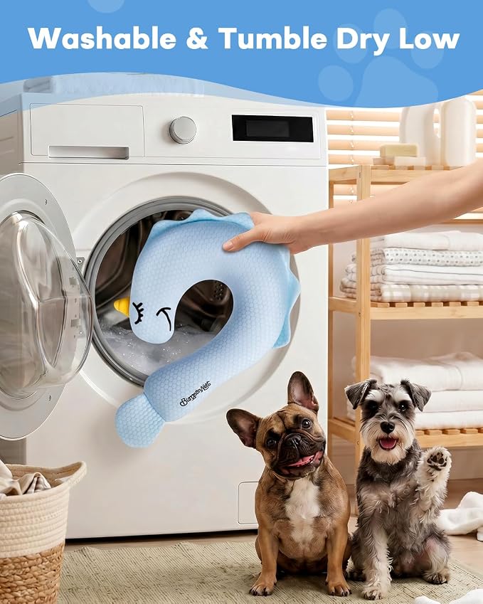 BurgeonNest Cooling Small Dog Pillow for Puppies and Cats, Summer Chill Pet Calming Pillow with Cool-Touch Fabric, Soft Sleep Bolster for Senior Dogs & Kittens, Machine Washable (Cool Blue, Large)
