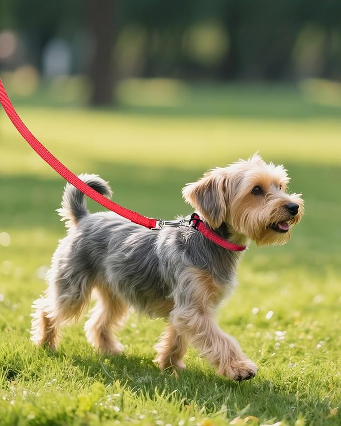Joytale Dog Collars for Small Dogs, Feather-Light Double-Sided Reflective Nylon Collar for Night Safety, Adjustable Quick-Release for Growing Puppies, Red, S (5/8" Width)