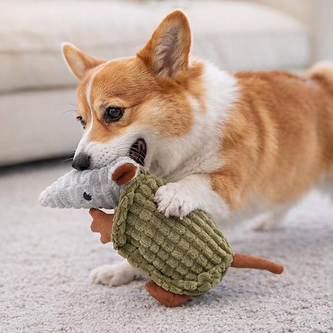 Hollypet Plush Dog Squeaky Toy Stuffed Armadillo Animal Pet Puppy Chew Toys with Clean Teeth for Small Medium Large All Breed Sizes Dogs, Olive Green, 8 in