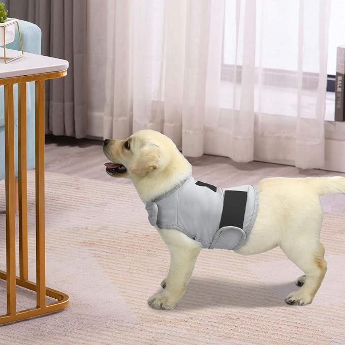 Comfort Dog Anxiety Relief Coat, Dog Anxiety Calming Vest Wrap for Thunderstorm,Travel,4th of July Fireworks,Vet Visits,Separation Anxiety Relief for Dogs (S, Light Gray)