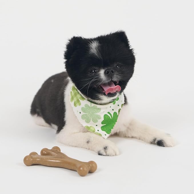 SPOT Bam-Bones Wishbone Dog Chew Toy, Bamboo Fiber Blend, Non-Splintering Durable Chew for Light to Moderate Chewers, Adult Dogs & Teething Puppies 10–30 lbs, Chicken Flavor, 5.25 in