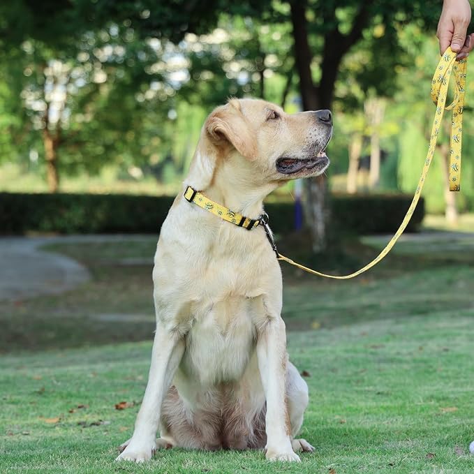 Dog Collar Leash Set, Busy Bee Pattern, 5ft Matching Leash, Polyester Material, 4 for Small Medium Large Dogs.(S, Bee)