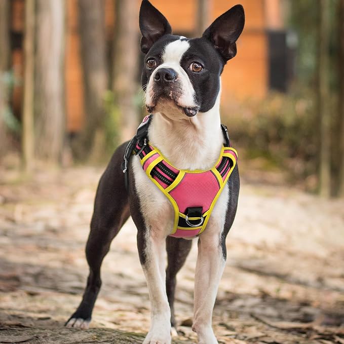 rabbitgoo Dog Harness Small Sized, 3 Buckles Easy On & Off No Pull Pet Vest, Soft Padded Walking Pet Harness with Control Handle, Adjustable and Reflective, Pink & Yellow, S