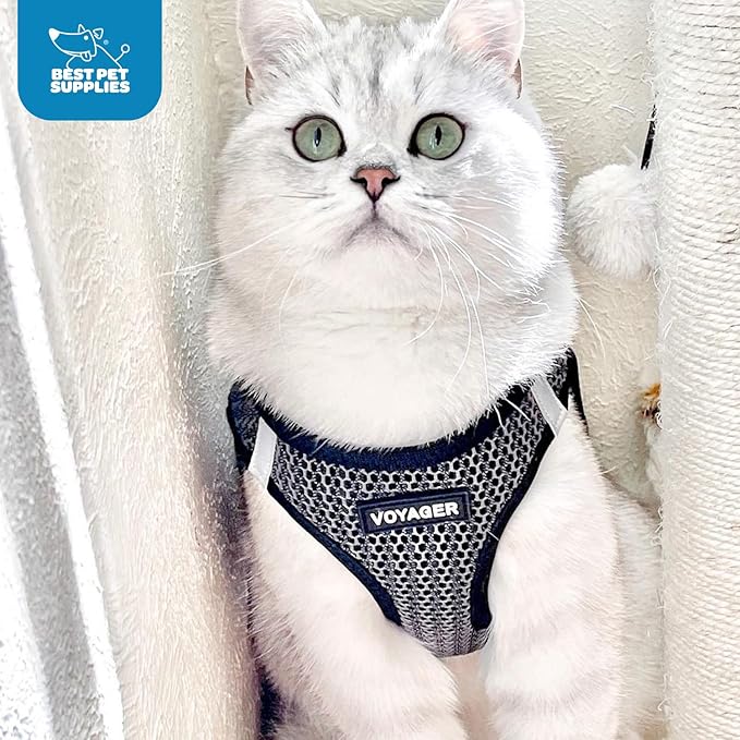 Best Pet Supplies - All Weather Mesh/Plush, Reflective, No Pull Harness for Small, Medium Dogs, Cats - Secure with Hook & Loop Fastener, Buckle, Double D-Rings - Gray 2-Tone, XS