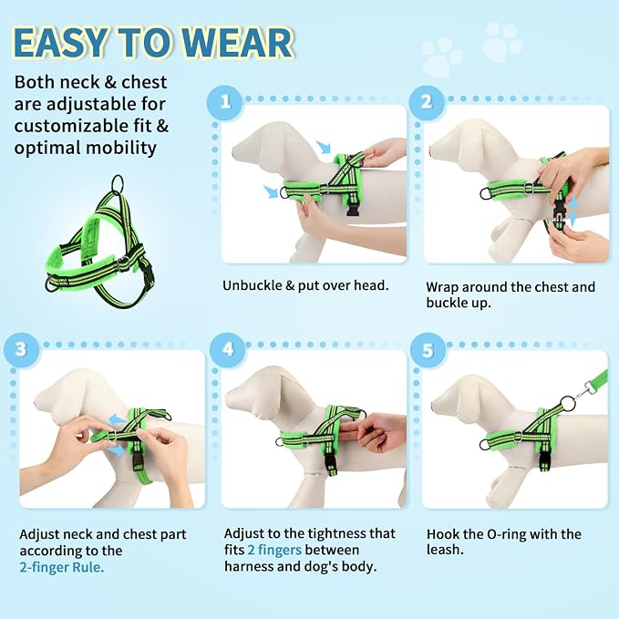 Lukovee Soft Padded Small Dog Harness (X-Small, Green) with 4ft Lightweight Leash, Adjustable Reflective Vest for Walking, Running, Hiking, Training