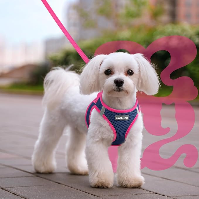 rabbitgoo Dog Harness Small Sized and Leash Set, Step-in Breathable Pet Harness, Soft Walking Reflective Puppy Vest for Small Dogs, Blue & Rose Red, XXS