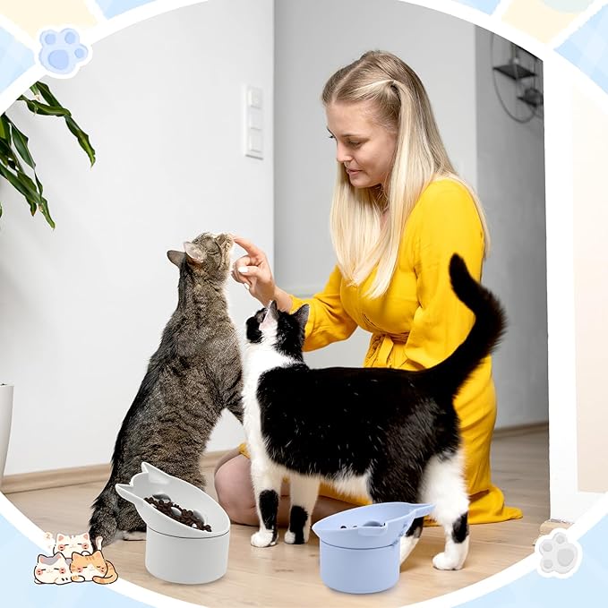 Funnymoom 2 Pack Silicone Cat Slow Feeder, Elevated Slow Feeder Cat Bowl for Dry and Wet Food, Tilted Design with Non Slip Base, Adjustable Angle for Pet(Gray and Blue)