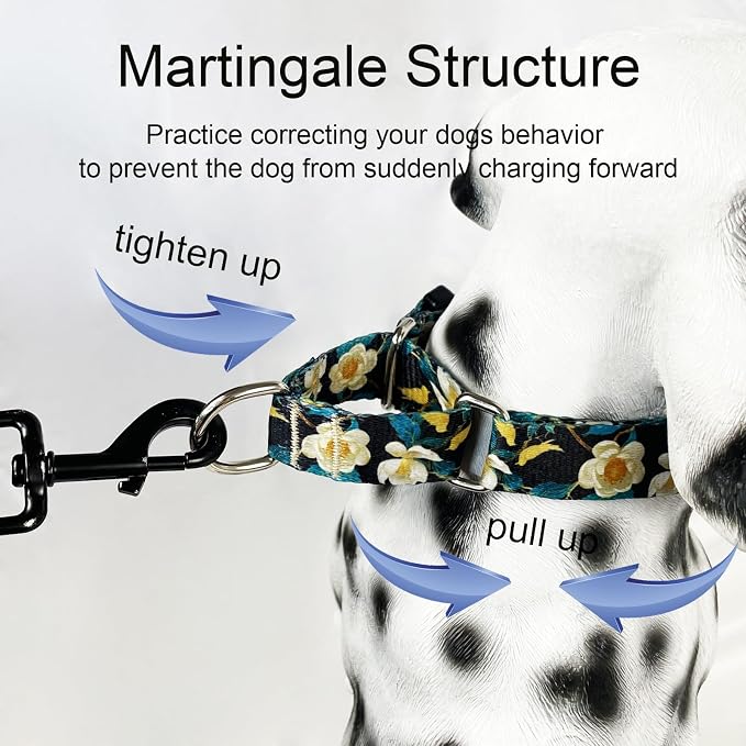 Martingale Collar for Dogs with Buckle Pretty Cute Floral Nylon Dog Collars for Medium Dogs (Luxury Golden Flowers, Medium)