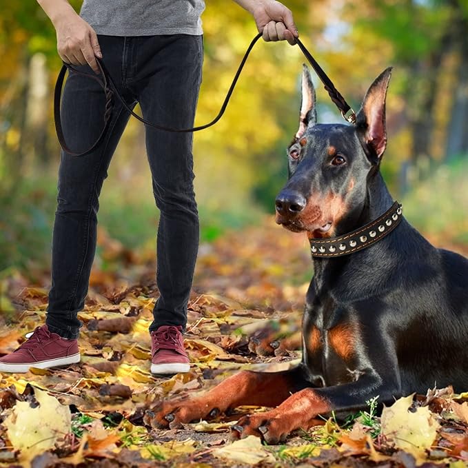 Leather Dog Leash 5ft x 3/4 inch, Heavy Duty Leather Braided Dog Training Leash, Strong and Comfortable Leashes for Large, Medium, Small Dogs