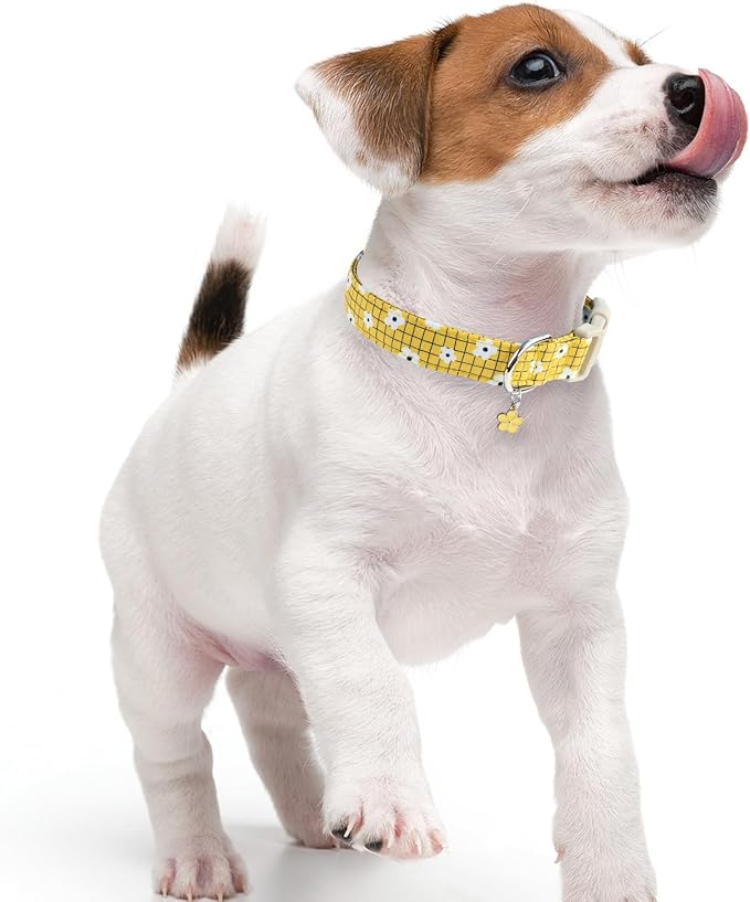 Faygarsle Floral Plaid Pattern Dog Collar, Yellow with White Flowers Summer Spring Design for Small Medium Large Dogs L
