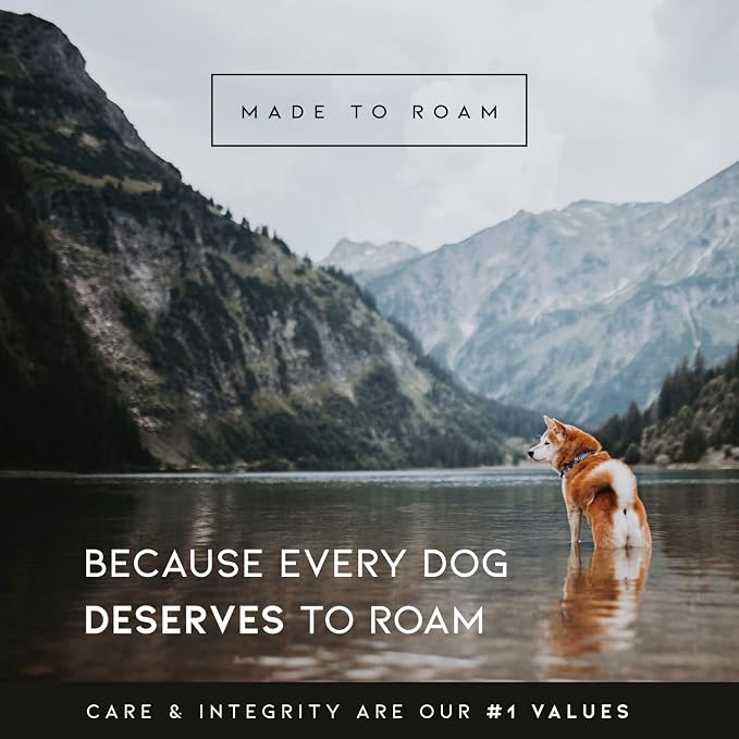 MADE TO ROAM Premium Explorer Control Collar - Adjustable Heavy Duty Nylon Dog Collar with Quick-Release Metal Buckle and Leather Handle (Utah Glow, Size 2, Control)