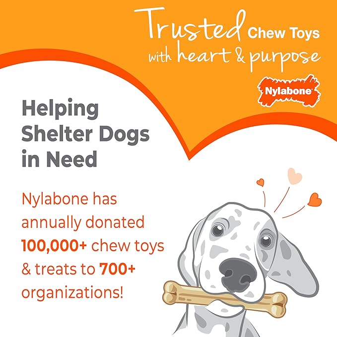 Nylabone New Puppy Power Chew Stages, Soothing Puppy Teething Toys, Chew Bones for Puppies, Long Lasting Peanut Butter & Chicken Flavor, For X-Small Dogs - Up to 15 lbs., 2 Pack