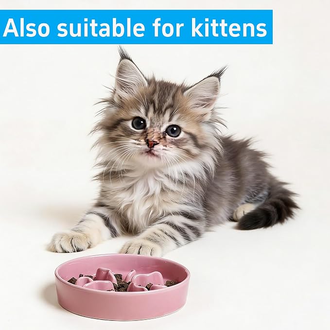 Pet Feeding Bowls, Ceramic Slow Feeder Dog Bowl - Heavy Weighted Blue Bloom Food Dish for Small to Medium Dogs - Non-Slip, Microwave & Dishwasher Safe Pottery Maze to Fast Eating (Pink)