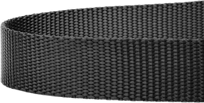 Country Brook Petz - Everyday Nylon Dog Leash - Strong, Durable, Solid Color Leash with Easy to Use Snap - 25+ Colors (1 Inch Wide, 6 Foot, Black)