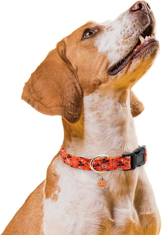 Personalized Halloween Dog Collars,Adjustable Puppy Collars with Safety Buckle for Small Medium Large Dogs,Cute Orange Pumpkin Pattern Pet Collar for Boy Girl Dogs. (Orange Pumpkin, S)