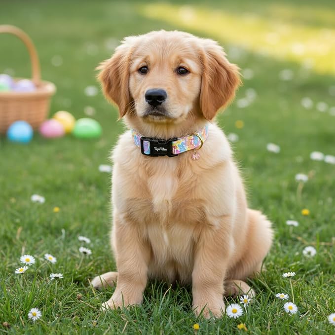 Easter Dog Collar with Cute Bunny & Bow Patterns, Medium Dog Collar with Exquisite Pendant, Durable Adjustable Collars for Easter Gifts & Daily Use-M