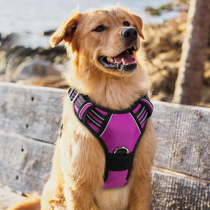 rabbitgoo Dog Harness for Large Dogs, 3 Buckles Easy On & Off No Pull Pet Vest, Soft Padded Walking Pet Harness with Control Handle, Adjustable and Reflective, Purple, XL