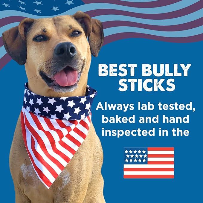 Best Bully Sticks 5-6 Inch Bacon and Cheese Filled Shin Bones for Dogs - 5 Count (Pack of 1) - Easily Digestible, Long-Lasting, Refillable Treat