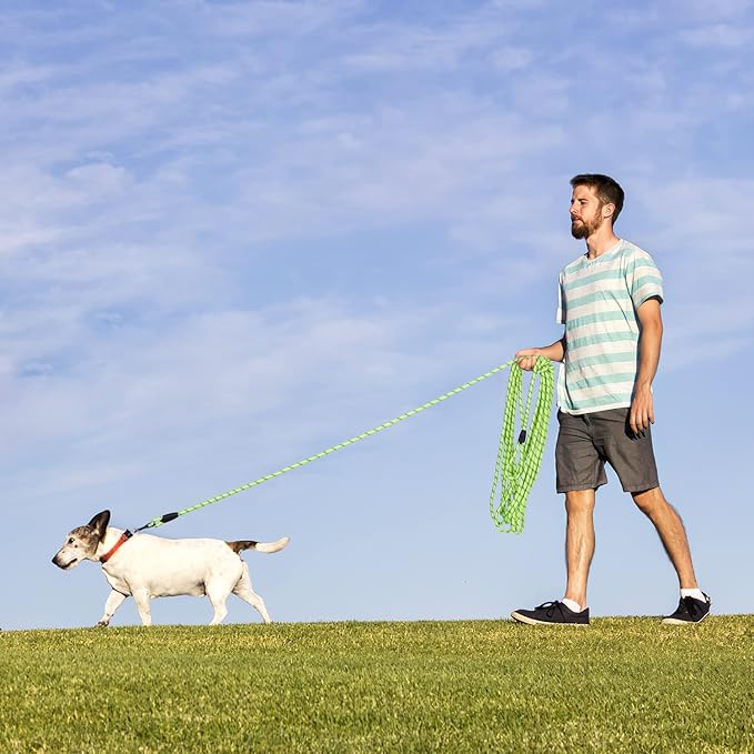 Long Dog Leash for Training 15Ft-Reflective Nylon Rope with Swivel Hook-Recall Agility Lead for Large Small Medium Dogs Outside Walking Hiking-Green