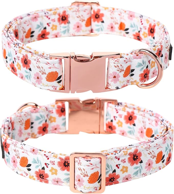 Lionet Paws Design Dogs Collar Cute Flower Sailor Bow Dog Collars for Girl Female Medium Large Dogs with Summer Floral XL