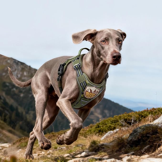 rabbitgoo Dog Harness for Large Dogs No Pull, Tactical Service Pet Vest with Molle and Control Handle, Adjustable and Reflective Military Harness for Easy Walking and Training, Green Camo, L