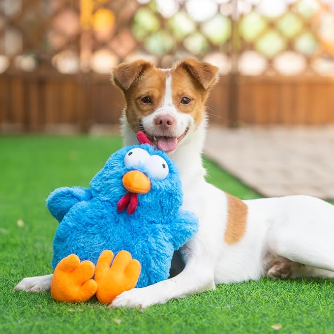 Best Pet Supplies Interactive Squeaky Dog Chew Toy, Ideal Dog Toys for Chewers, Small, Medium & Large Dogs, and Fetch Lovers - Mrs. Cluck (Blue), Large