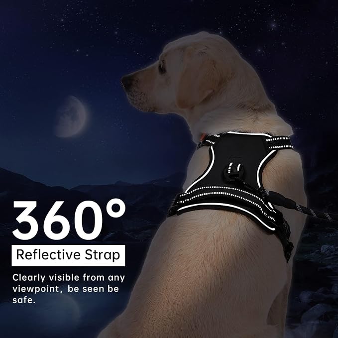 No Pull Dog Harness, Medium Rose Tactical Vest Harness, 900D Durable Nylon Reflective Pet Harness with Front & Back Control Handles, Adjustable Padded No-Choke Vest for Medium Dogs Border