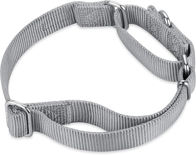 Hyhug Martingale Collar for Dogs Small Gray |Escape - Proof Heavy Duty Nylon Durable No Buckle, Ideal for Training & Daily Walks