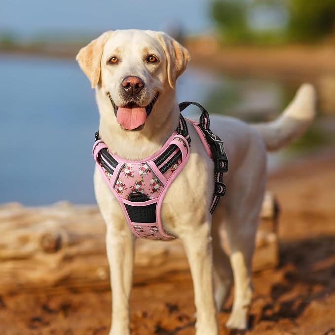 rabbitgoo Dog Harness No Pull with 2 Leash Clips, Adjustable Soft Padded, Reflective Oxford No Choke Pet Vest with Easy Control Handle for Small Dogs, Pink Rose, S
