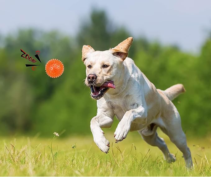 petizer 6 Pack 4.5inch Squeaky Dog Toy Balls Floating Spiky Pool Balls Interactive Fetch Toys for Large Dog