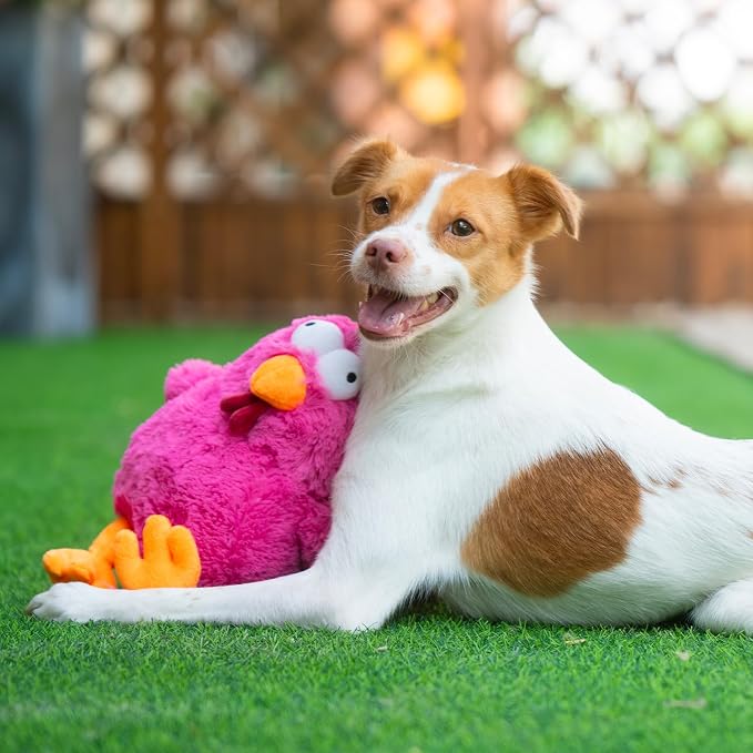 Best Pet Supplies Interactive Squeaky Dog Chew Toy, Ideal Dog Toys for Chewers, Small, Medium & Large Dogs, and Fetch Lovers - Mrs. Cluck (Fuchsia), Large