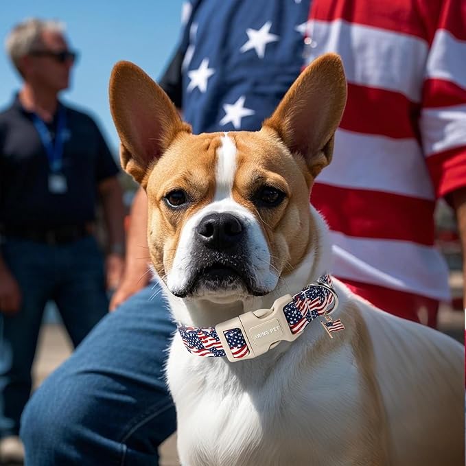 ARING PET 4th of July Collars for Dogs, Fourth of July Patriotic American USA Flag Red White Blue Dog Collar for Puppy Small Medium Large Boy Girl Doggy-L