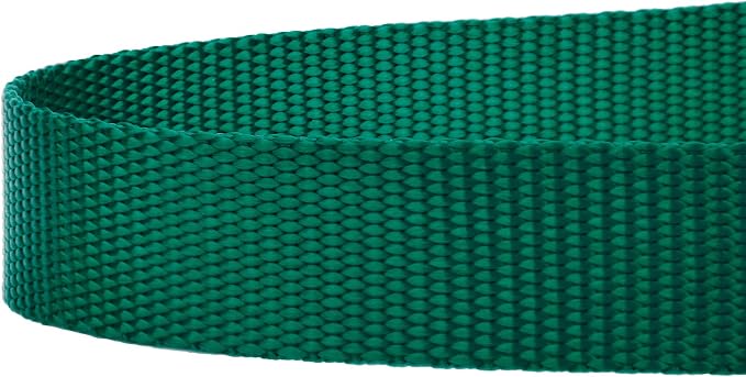 Country Brook Petz - Everyday Nylon Dog Leash - Strong, Durable, Solid Color Leash with Easy to Use Snap - 25+ Colors (1 Inch Wide, 4 Foot, Green)