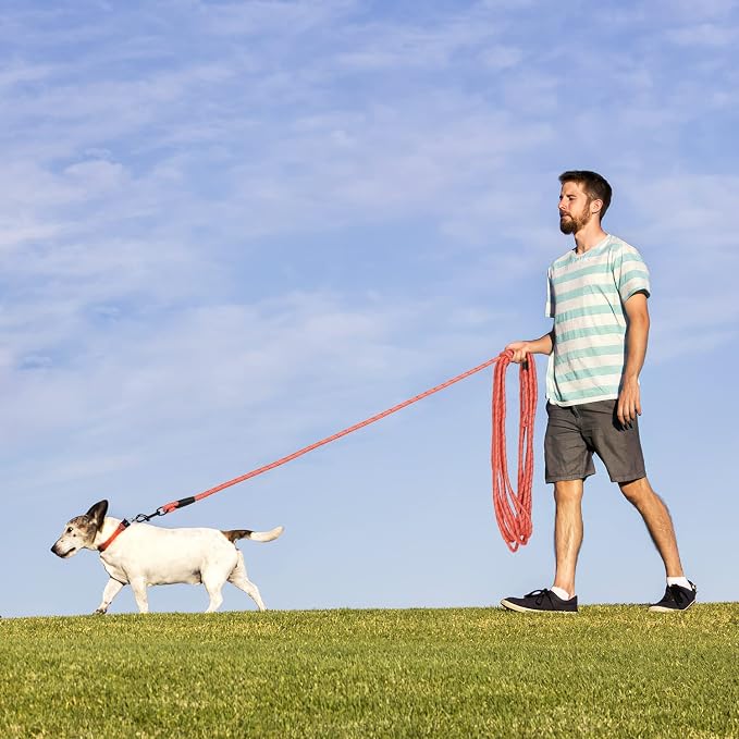 Long Dog Leash for Training 30Ft-Reflective Nylon Rope with Swivel Hook-Recall Agility Lead for Large Small Medium Dogs Outside Walking Hiking-Orange