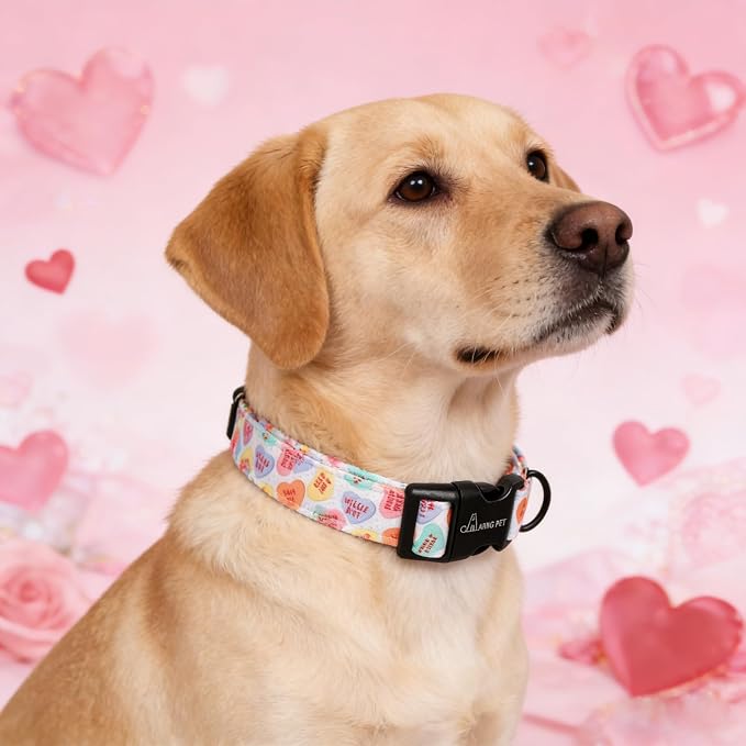 ARING PET Valentine's Day Dog Collar, Cute Candy Heart Pet Collars with Quick Release Buckle for Puppy Small Medium Large Boy Girl Dogs-XS
